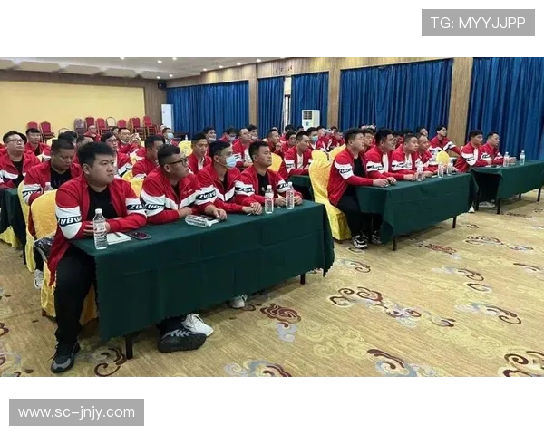 南京排球队战术解析:从进攻到防守的全面剖析与实践探讨